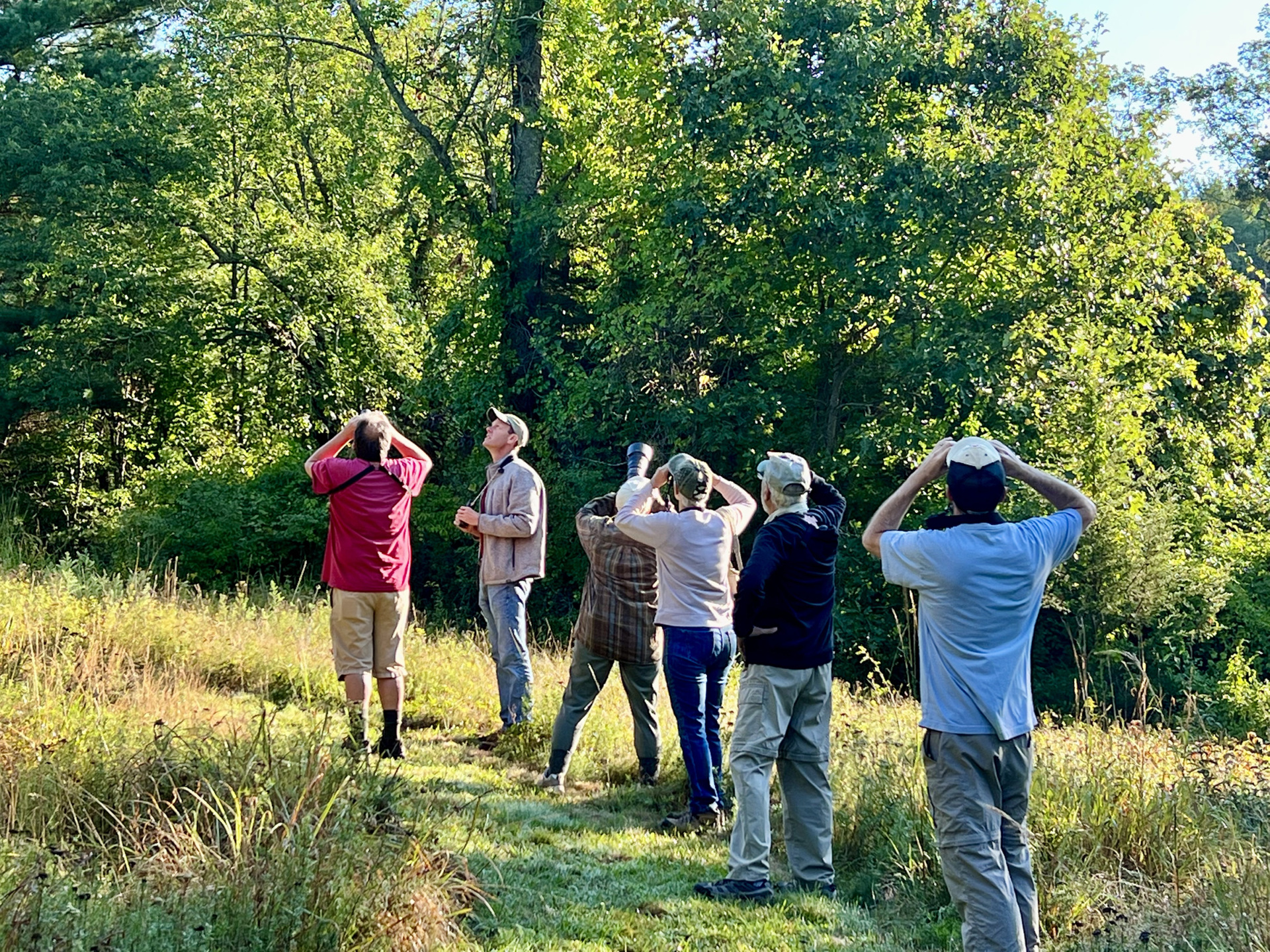 Spring bird watching group