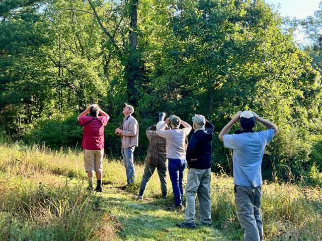 Spring bird watching group