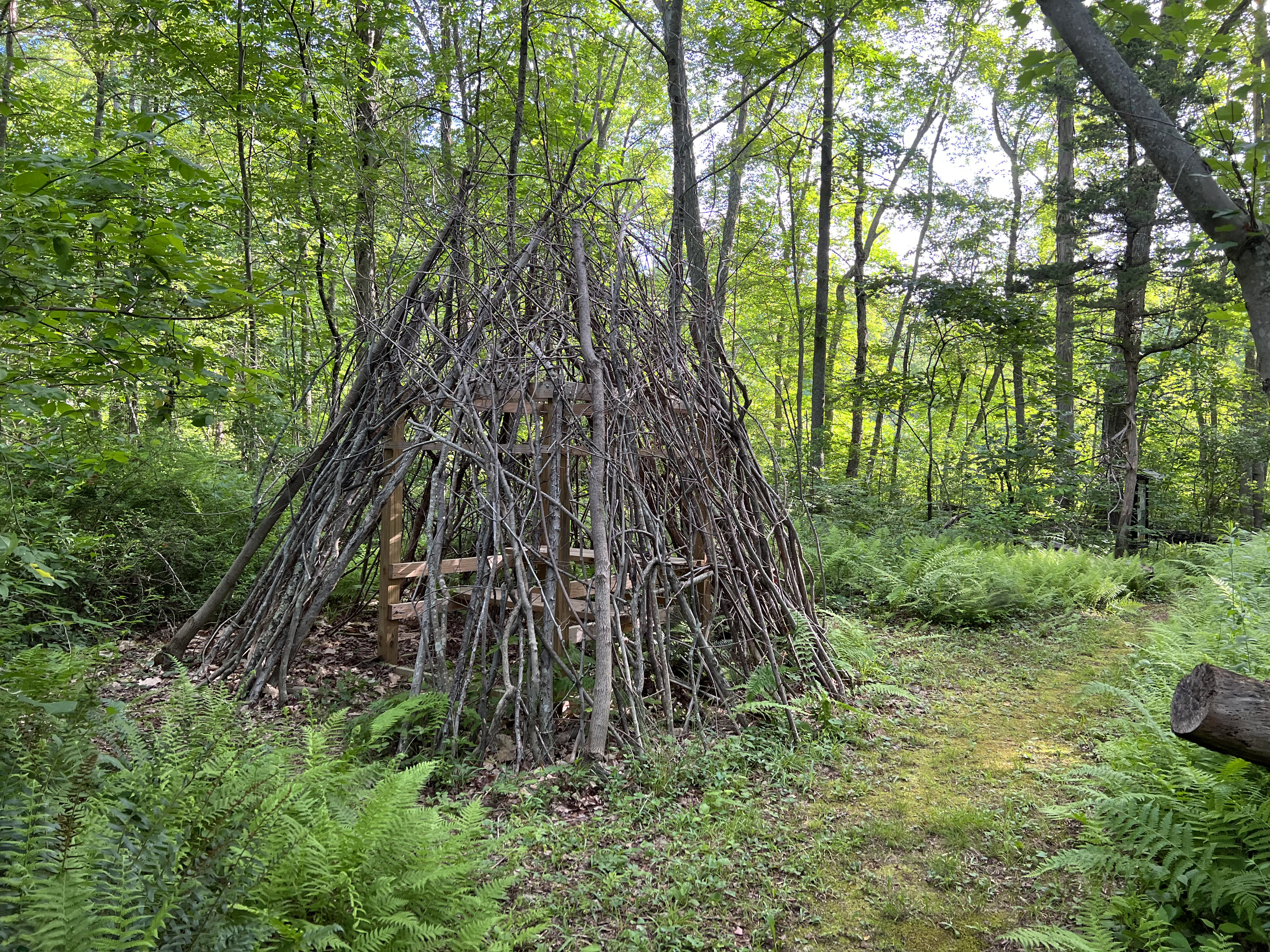 Wildlife observation blind