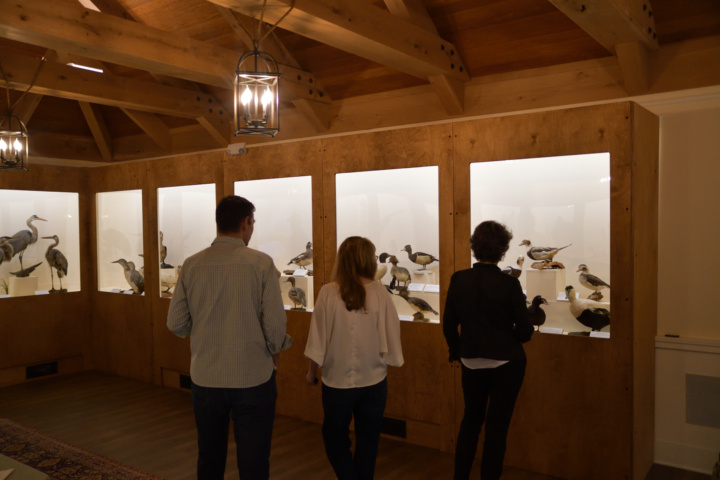 Please note: On Tuesday, March 31, the Birdcraft Museum will be closed for a staff development day. Trails will remain open from dawn to dusk.