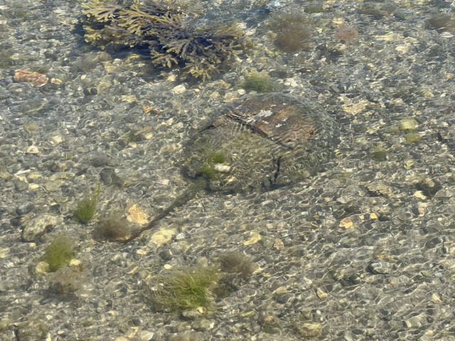 2026 Summer camp registration is now open!