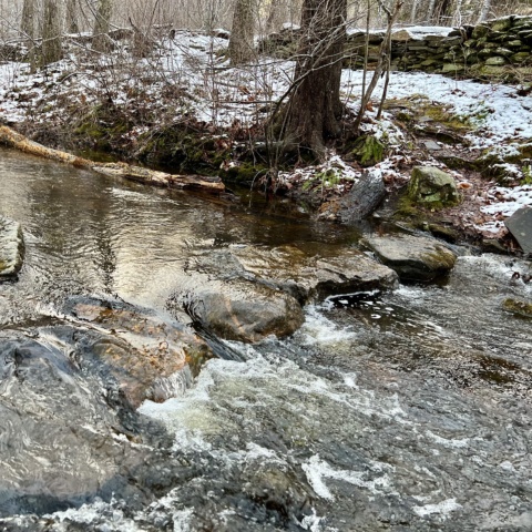 Trail Wood Sanctuary CLOSED Wed. March 11 - Wed. March 18