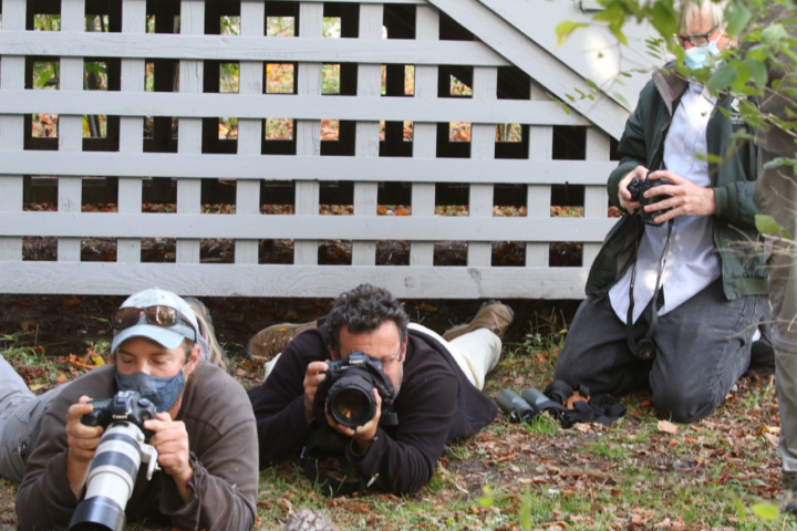 Nature in Focus Photography Contest in early 2027