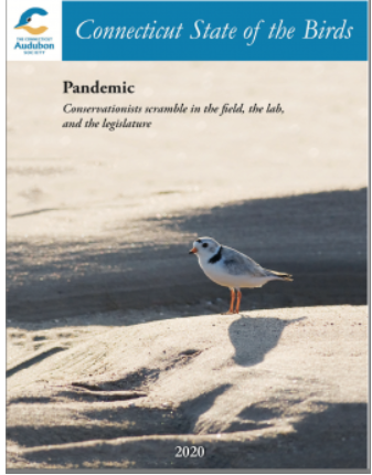 state of the birds report cover