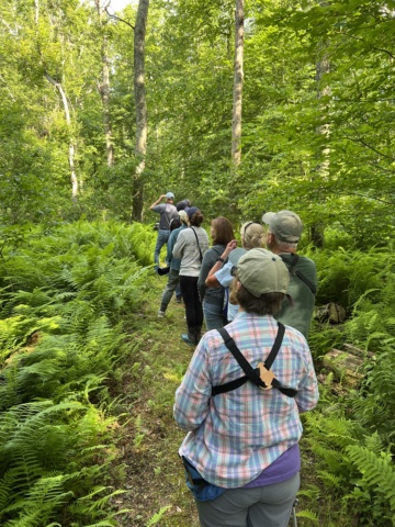 Birdwatchers in wood