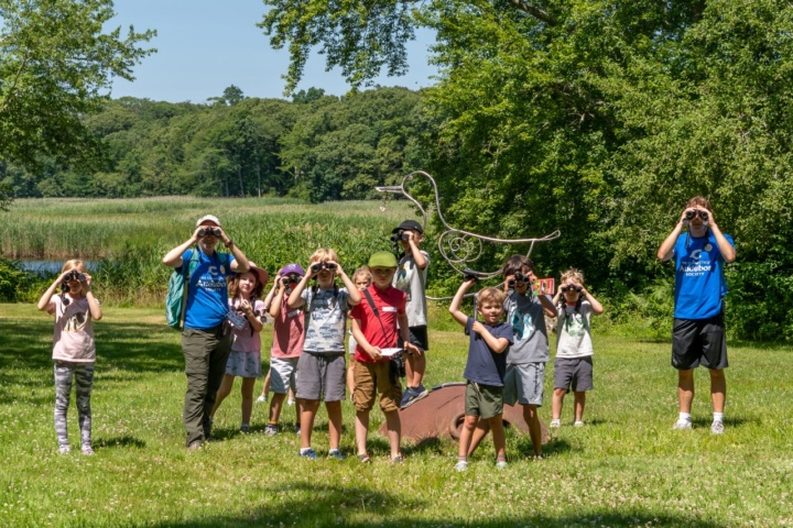 Summer Camp Registration Is Open