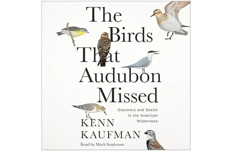 The Birds Audubon Missed