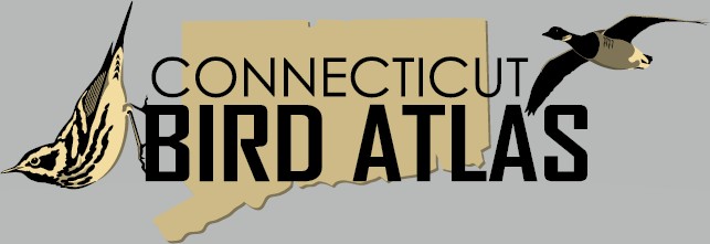 The Plight of Our Birds: A Call to Action | Mar 17, 6:30pm – 8:30pm ...