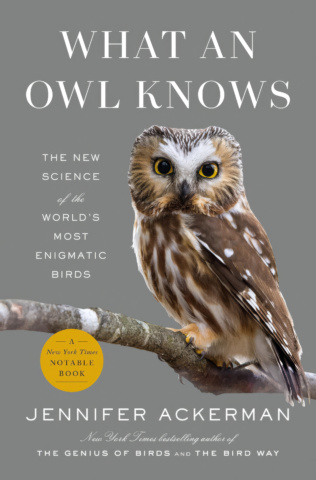 What An Owl Knows