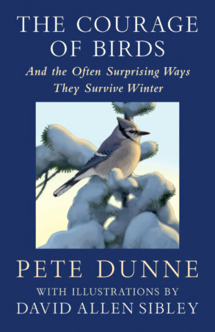 The Courage of Birds