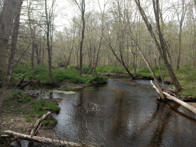 Banningwood Preserve, Roaring Brook