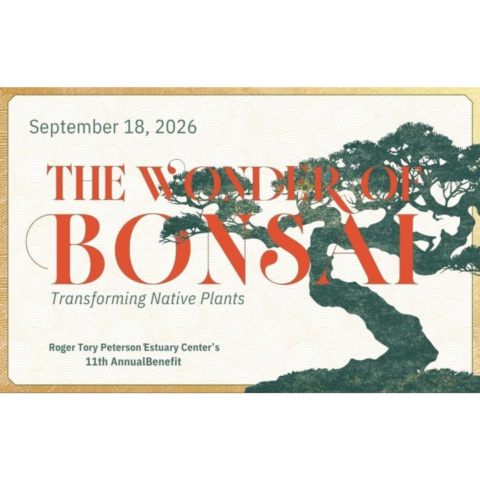 The Wonder of Bonsai Annual Fundraiser