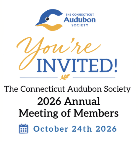 Annual Meeting
